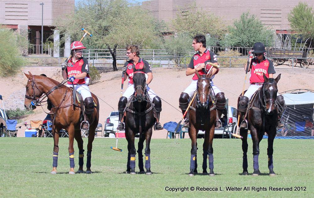 Work to Ride vs. Harvard Scottsdale Polo