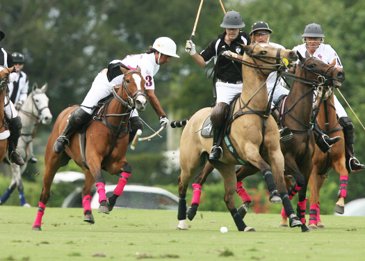 Photos Crab Orchard vs. Port Mayaca