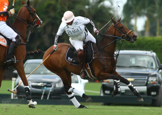 Butler Handicap Photos