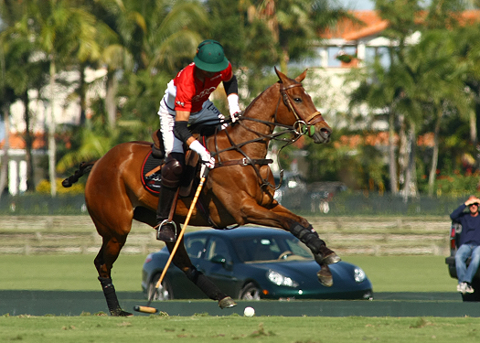 polo magazine alexpacheco us polo open championships polo tournament coca cola polo team audi polo team ipc polo club florida polo 1