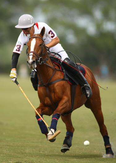 polo top polo tournament polo magazine lechuza piaget polo team 5