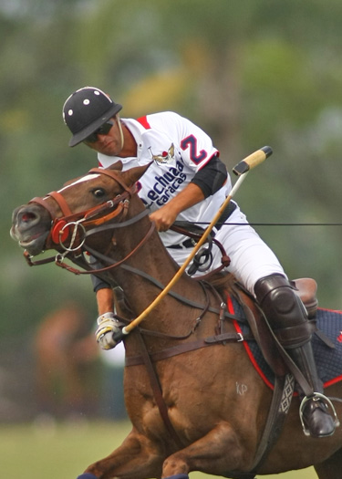 polo top polo tournament polo magazine lechuza piaget polo team 6