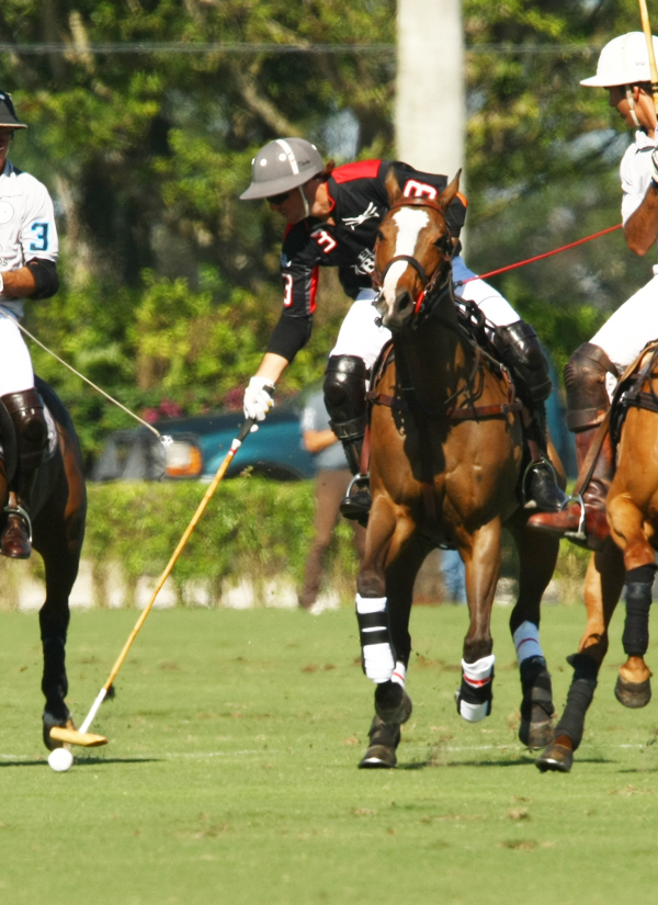 Joe Barry Memorial Cup2014polomagazinepachecopolophotos 2