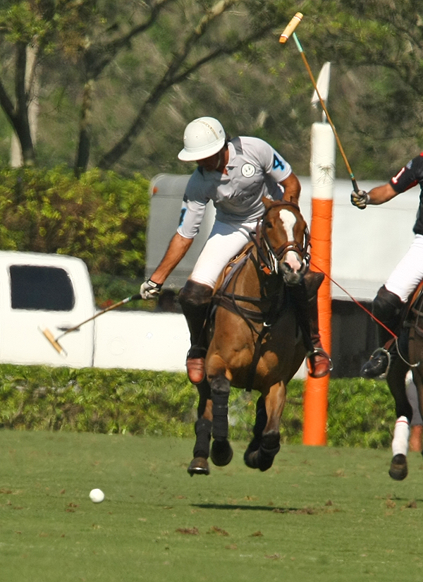 Joe Barry Memorial Cup2014polomagazinepachecopolophotos 5