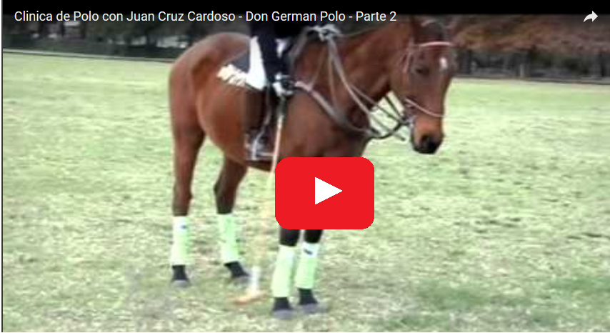 Don German Polo. Pilar, Argentina.