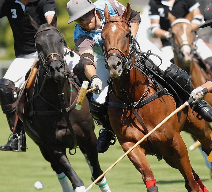 Screenshot 2022-05-06 at 12-06-07 Home Battleofblues