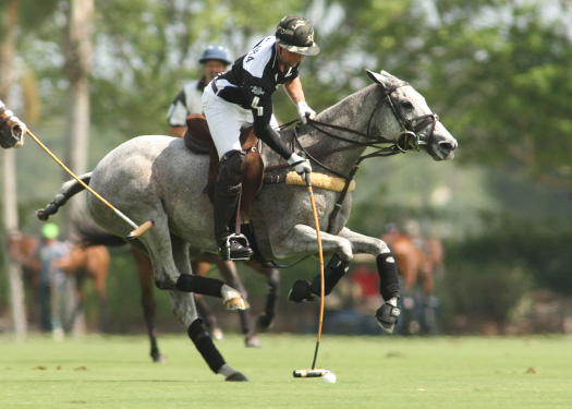 us polo open championships 2013 piaget zacara pacheco polo magazine 5