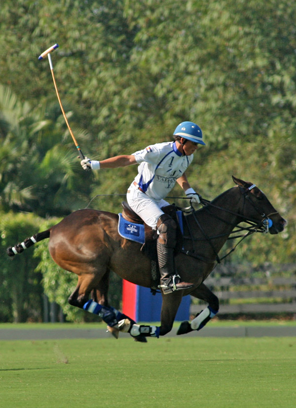 ipcinternationalpolopolomagazine 4